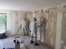 Environmental Consulting for Mold Prevention in Ardmore, PA